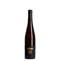 Wine Bottle Sticker by WEAREPARI