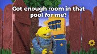 Enough room in pool?