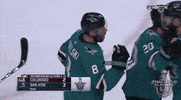 ice hockey hug GIF by NHL