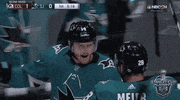 happy ice hockey GIF by NHL