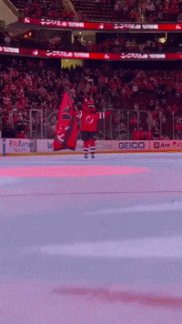 GIF by NJ Devil