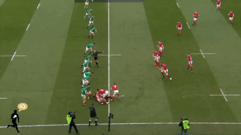 rugby_vids giphyupload GIF