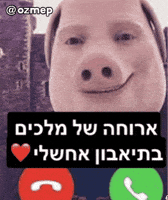 Hebrew GIF