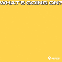 Whats Going On Hello GIF by OneFootball Heads