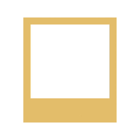 Frame Polaroid Sticker by BrewDog
