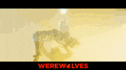 Werewolf Werewolves GIF by Signature Entertainment
