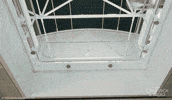 Disney Short GIF by Walt Disney Animation Studios