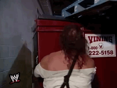 wrestlemania xiv wrestling GIF by WWE
