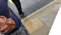 Protester Leaps in Front of PM Johnson's Car Outside Parliament, Causing Collision