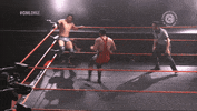 Fight Wrestling GIF by CNL Chile