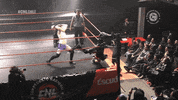 Fight Wrestling GIF by CNL Chile