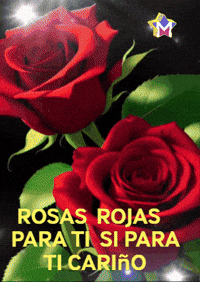 Para Ti Feliz GIF by Murcianys LLC