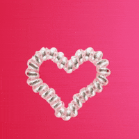 Happy Valentines Day Valentine Dog GIF
