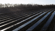 BantamCommunications virginia solarenergy cleanenergy solarpanels GIF