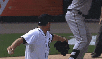 GIF by SB Nation