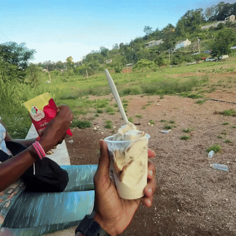 Ice Cream Cake Jamaica GIF