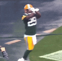 Green Bay Packers GIF