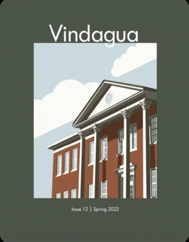 VINDAGUA giphygifmaker vindagua GIF