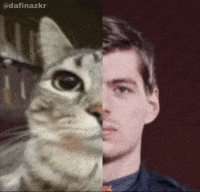 Mad Max F1 GIF