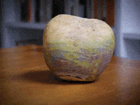 turnip hop tu naa GIF