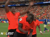 Netherlands Fifaworldcup GIF by NOLIMIT