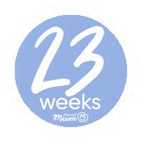 Mango I Am Pregnant Sticker by Channel Mum