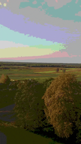 Eryk_Kmiecik giphyupload rain skull eryk kmiecik GIF