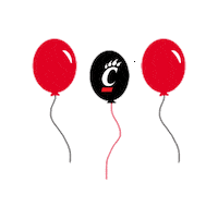 University Of Cincinnati Sticker by uofcincy