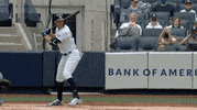 New York Yankees Baseball GIF by Jomboy Media