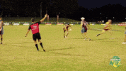 Tfa Cq GIF by Touch Football Australia