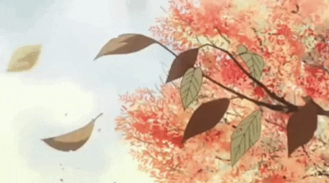 schoth giphygifmaker autumn falling leaves GIF