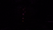 Vampire Dracula GIF by segalcentre