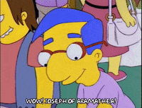 season 5 milhouse van housten GIF