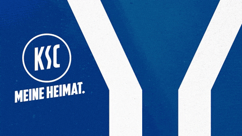 Soccer Goal GIF by Karlsruher SC