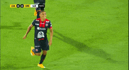 Alajuelense GIF by TD Más