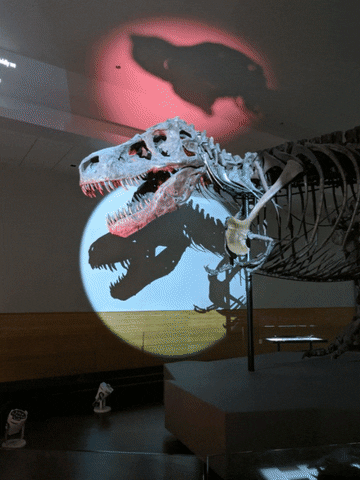 FMNH giphyupload dinosaur t rex field museum GIF