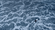 Cold Weather Water GIF by Outside TV