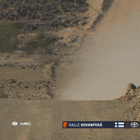 Flying On My Way GIF by FIA World Rally Championship