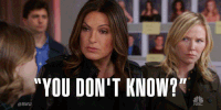 Season 17 Nbc GIF by Law & Order