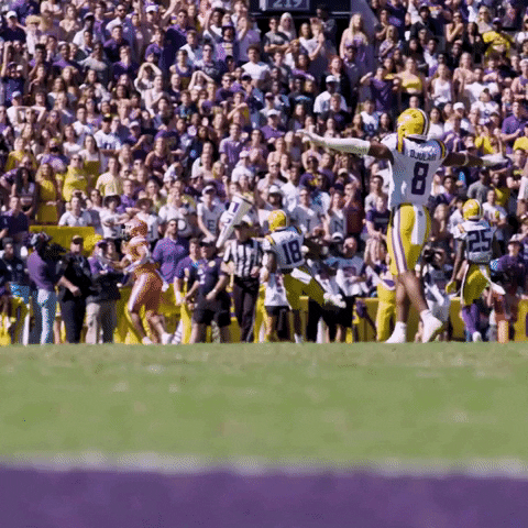 Death Valley Win GIF by LSU Tigers