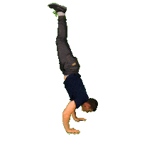 Wk Koks Sticker by wksklep