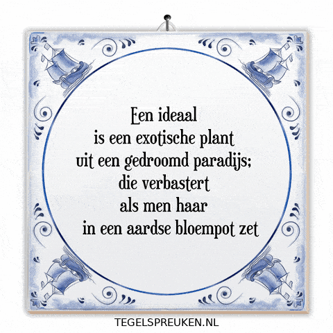 Nl Hoop GIF by Tegelspreuken.nl