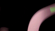 Music Video Party GIF by L.OL. Surprise!