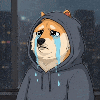 Sad Shiba Inu GIF by Doge Pound