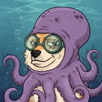 Shiba Inu Smiling GIF by Doge Pound