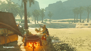 Breath Of The Wild Link GIF Breath Of The Wild Link GIF