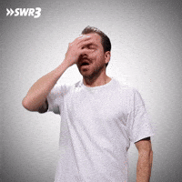 No Way Omg GIF by SWR3
