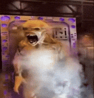 200.gif