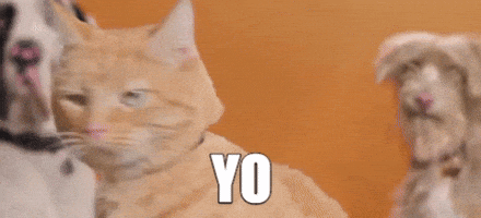 Best Friends Hello GIF by Best Friends Animal Society Best Friends Hello GIF by Best Friends Animal Society