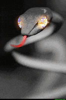 eyes snake GIF